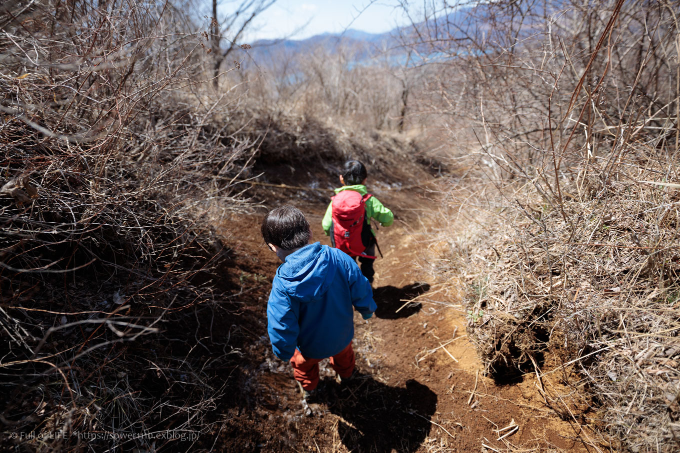 ちびっ子兄弟のチャレンジ春登山「石割山~平尾山」平尾山頂へ_c0369219_13525338.jpg