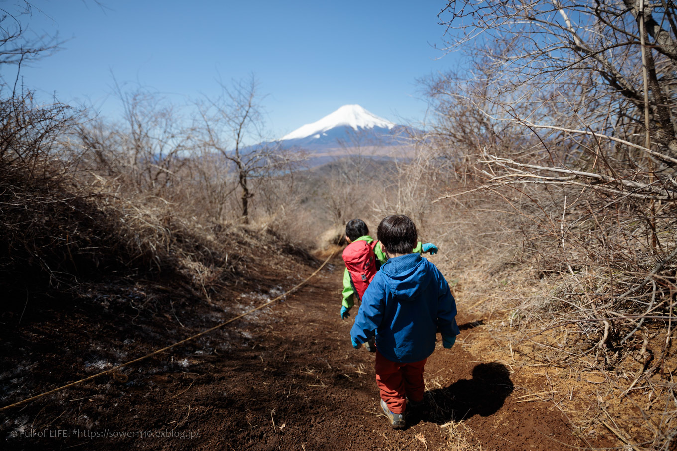 ちびっ子兄弟のチャレンジ春登山「石割山~平尾山」平尾山頂へ_c0369219_14044075.jpg
