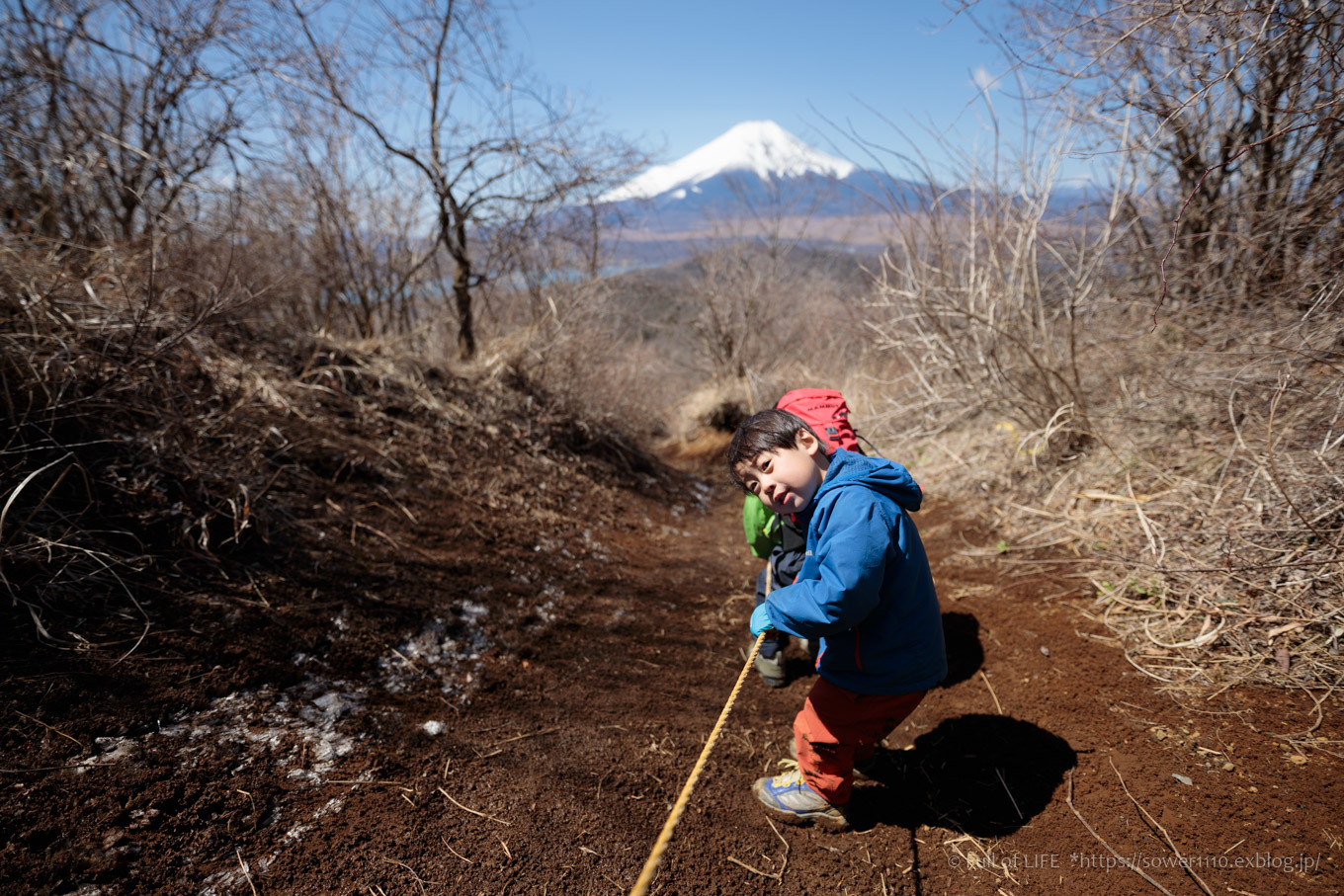 ちびっ子兄弟のチャレンジ春登山「石割山~平尾山」平尾山頂へ_c0369219_14073697.jpg