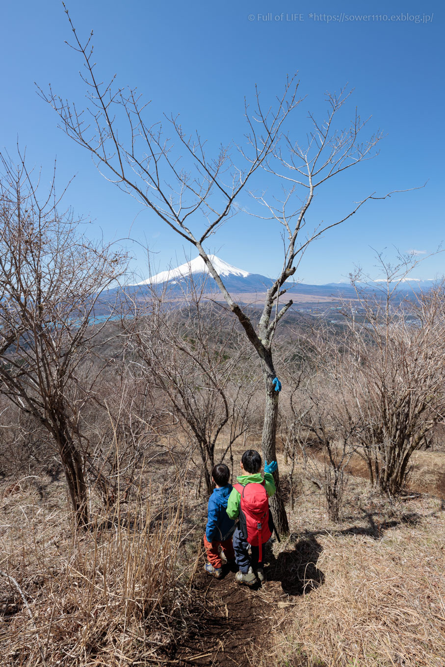 ちびっ子兄弟のチャレンジ春登山「石割山~平尾山」平尾山頂へ_c0369219_14250328.jpg