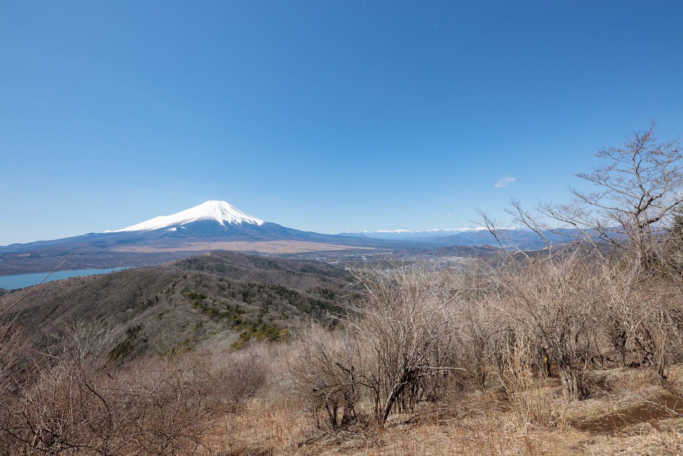 ちびっ子兄弟のチャレンジ春登山「石割山~平尾山」平尾山頂へ_c0369219_14301220.jpg
