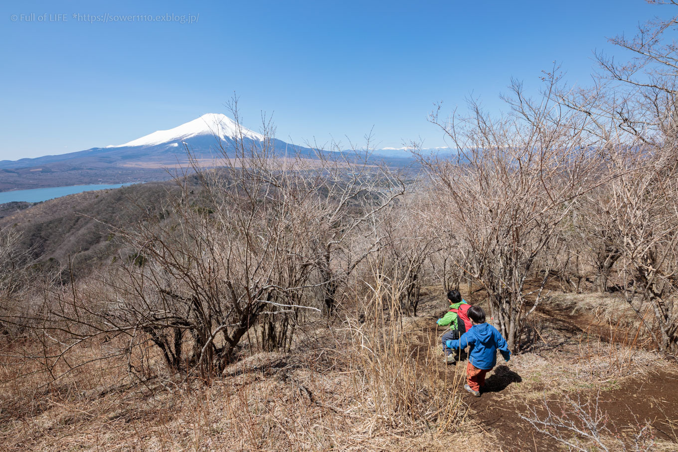ちびっ子兄弟のチャレンジ春登山「石割山~平尾山」平尾山頂へ_c0369219_14391583.jpg