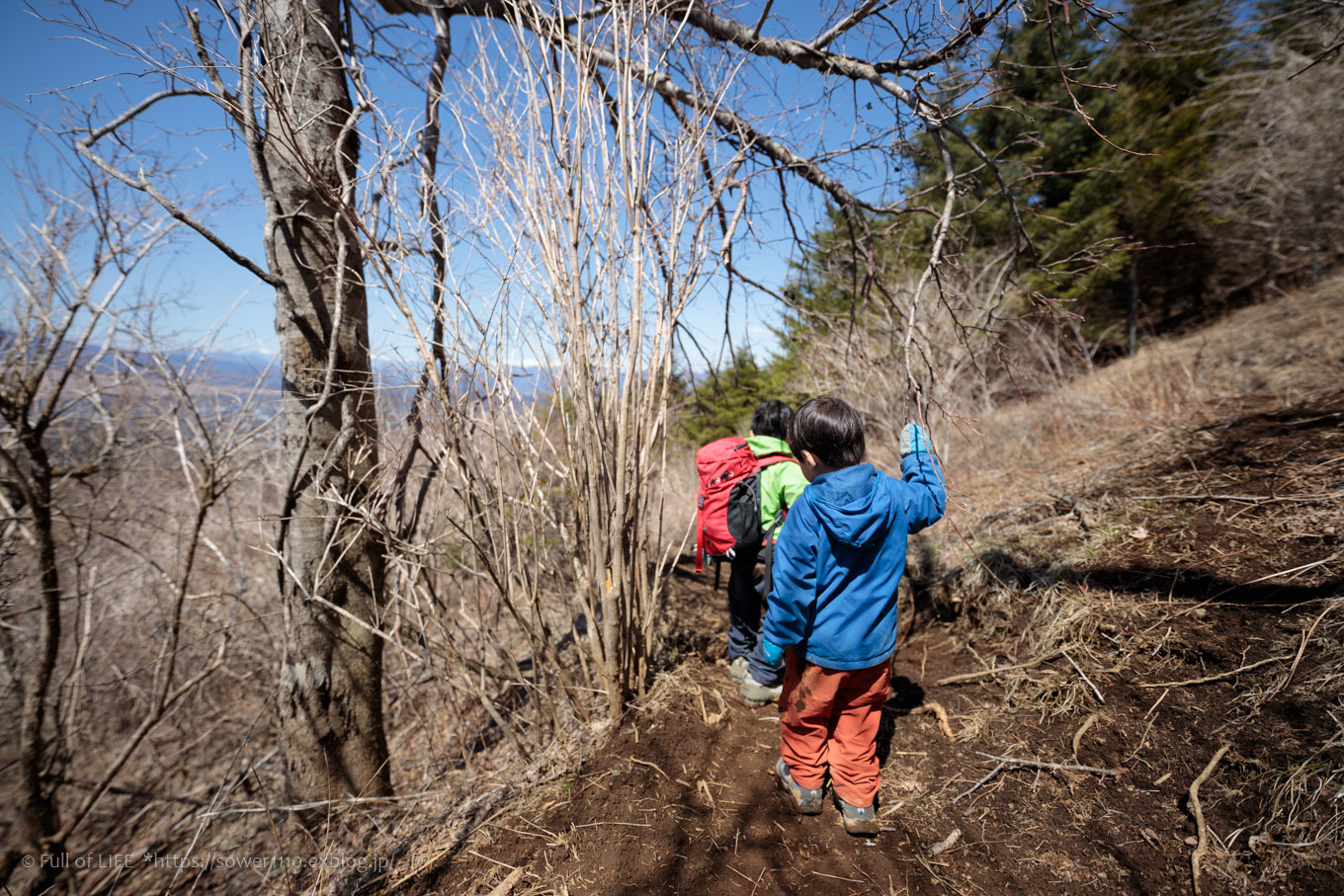 ちびっ子兄弟のチャレンジ春登山「石割山~平尾山」平尾山頂へ_c0369219_14412476.jpg
