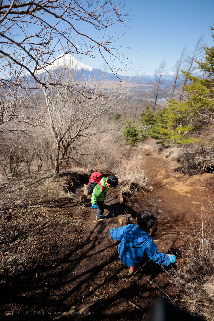 ちびっ子兄弟のチャレンジ春登山「石割山~平尾山」平尾山頂へ_c0369219_14421716.jpg
