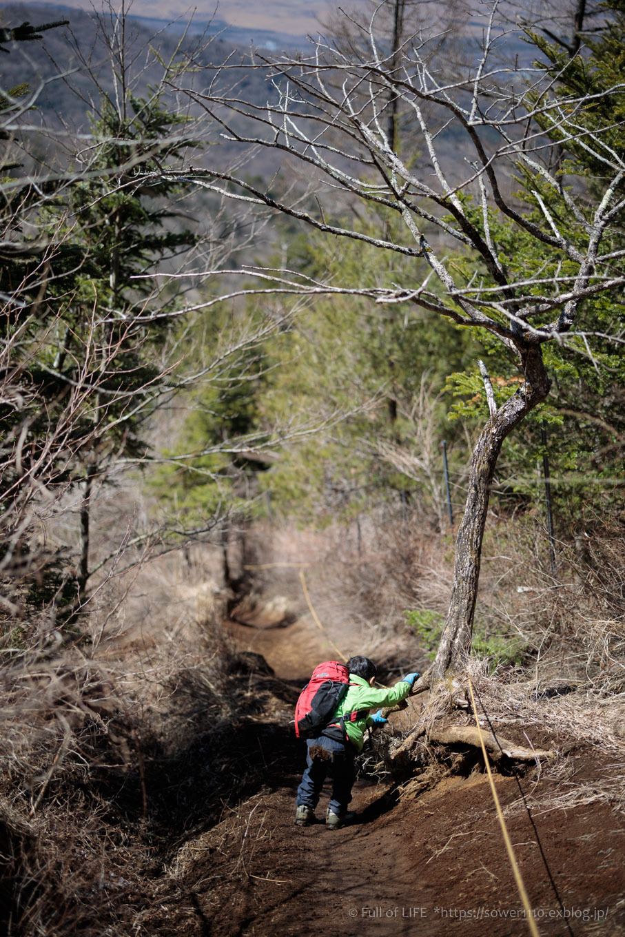 ちびっ子兄弟のチャレンジ春登山「石割山~平尾山」平尾山頂へ_c0369219_14480497.jpg