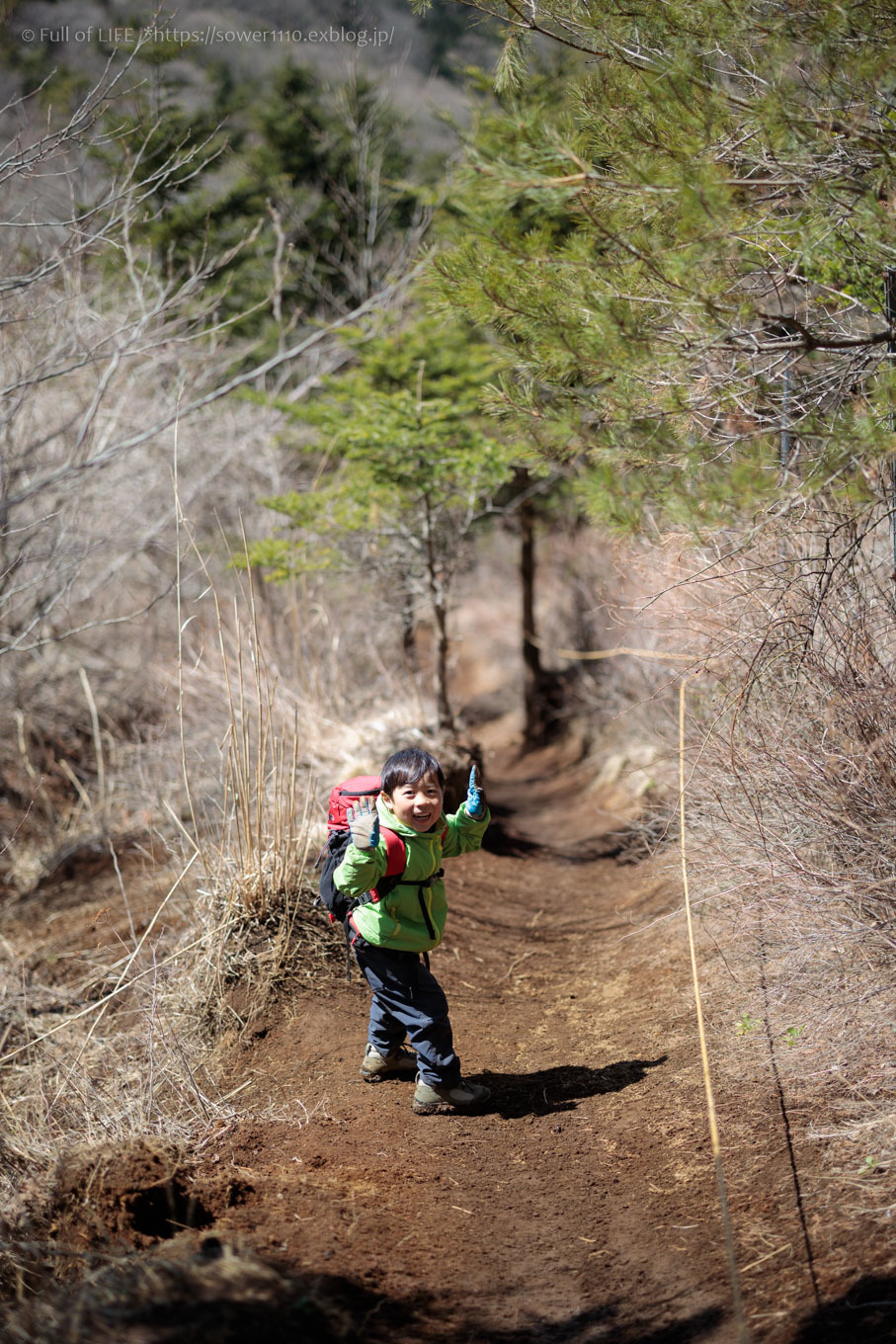 ちびっ子兄弟のチャレンジ春登山「石割山~平尾山」平尾山頂へ_c0369219_14485404.jpg