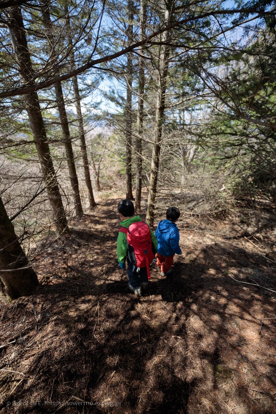 ちびっ子兄弟のチャレンジ春登山「石割山~平尾山」平尾山頂へ_c0369219_14512369.jpg