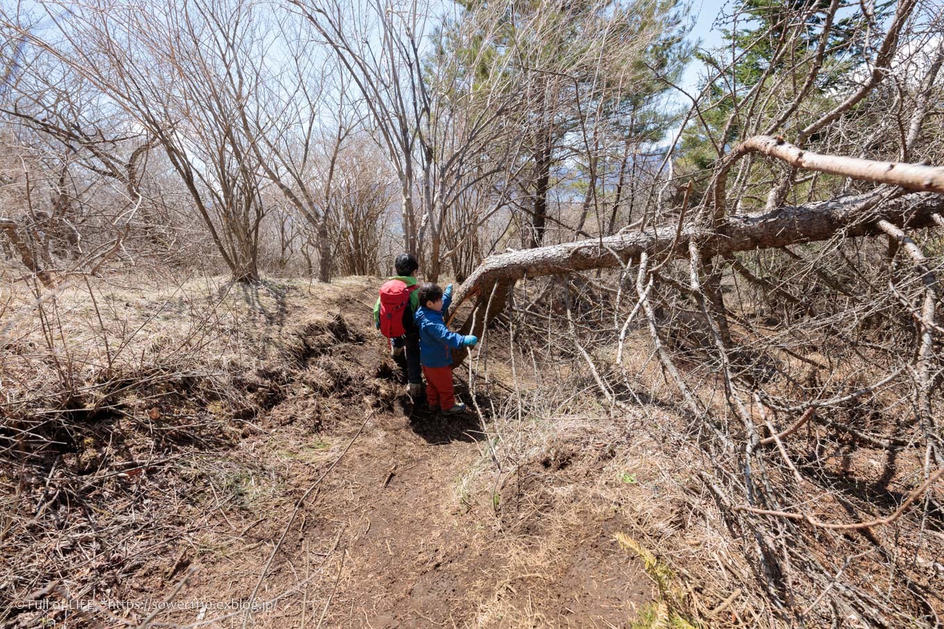 ちびっ子兄弟のチャレンジ春登山「石割山~平尾山」平尾山頂へ_c0369219_14541422.jpg