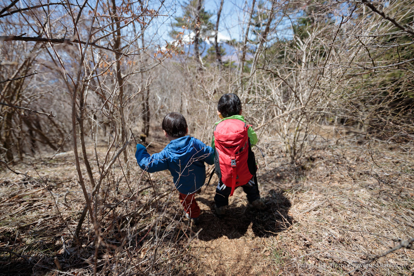 ちびっ子兄弟のチャレンジ春登山「石割山~平尾山」平尾山頂へ_c0369219_14553123.jpg