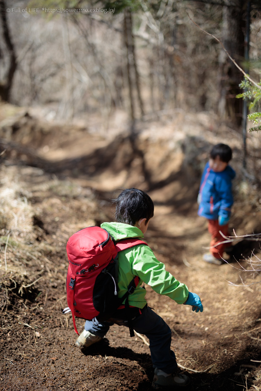 ちびっ子兄弟のチャレンジ春登山「石割山~平尾山」平尾山頂へ_c0369219_14560504.jpg