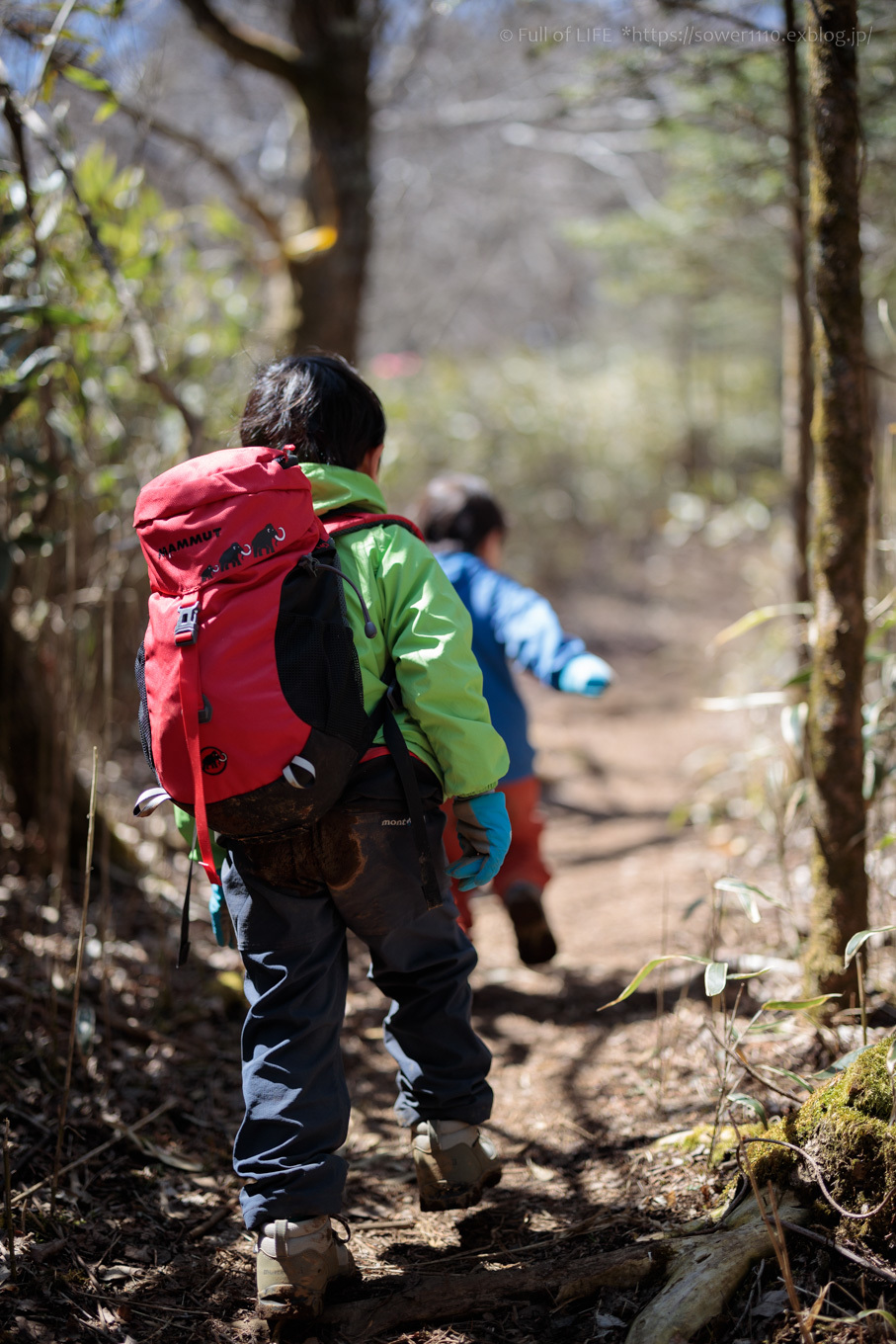 ちびっ子兄弟のチャレンジ春登山「石割山~平尾山」平尾山頂へ_c0369219_15011997.jpg