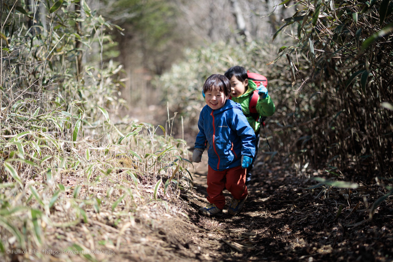 ちびっ子兄弟のチャレンジ春登山「石割山~平尾山」平尾山頂へ_c0369219_15041719.jpg