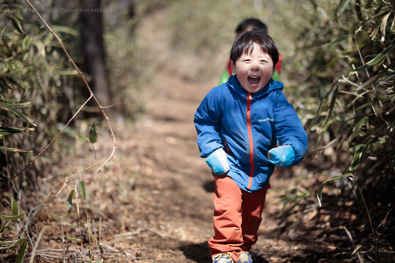 ちびっ子兄弟のチャレンジ春登山「石割山~平尾山」平尾山頂へ_c0369219_15054385.jpg