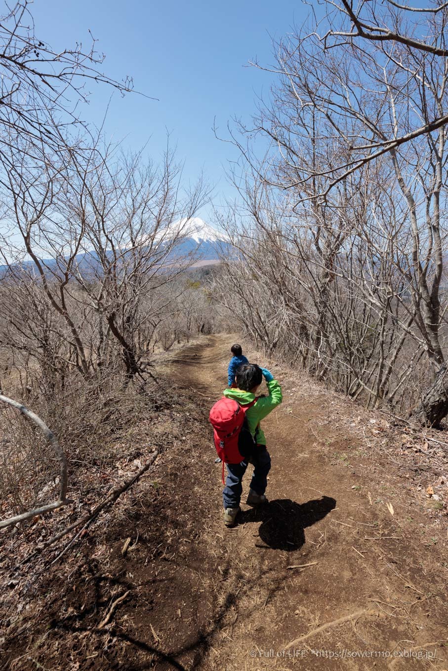 ちびっ子兄弟のチャレンジ春登山「石割山~平尾山」平尾山頂へ_c0369219_17023241.jpg