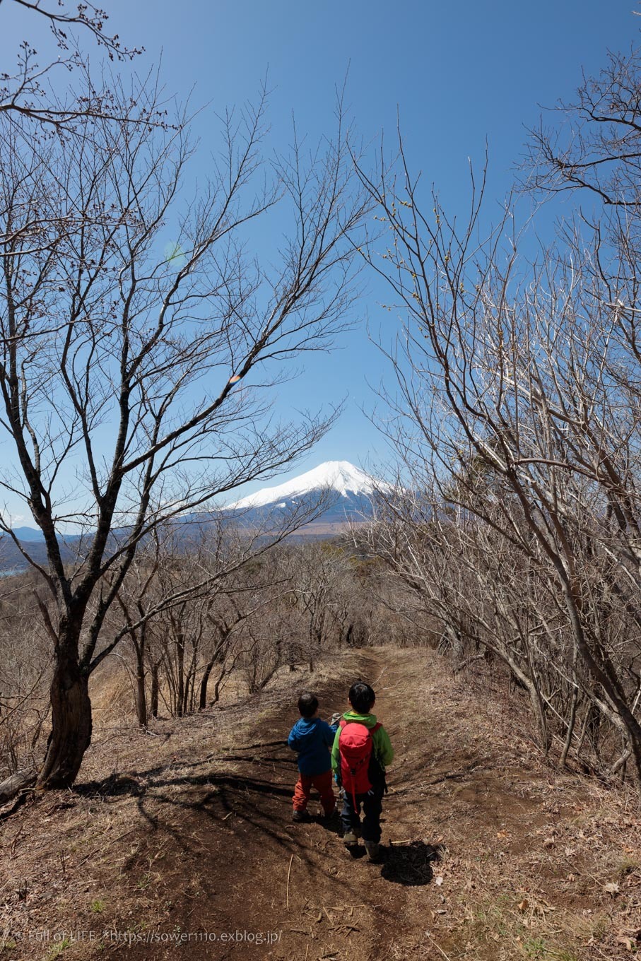 ちびっ子兄弟のチャレンジ春登山「石割山~平尾山」平尾山頂へ_c0369219_17035962.jpg