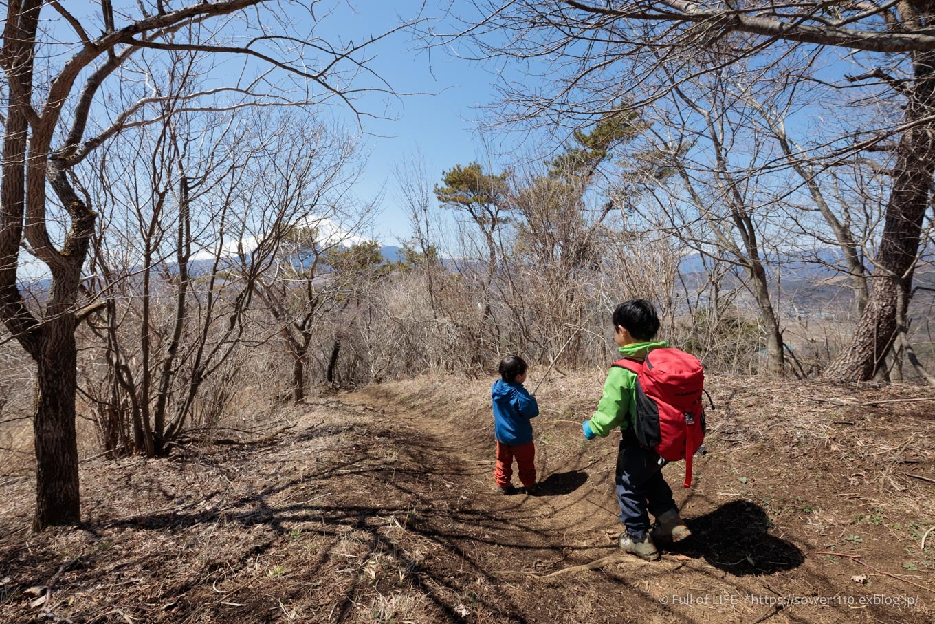 ちびっ子兄弟のチャレンジ春登山「石割山~平尾山」平尾山頂へ_c0369219_19300282.jpg