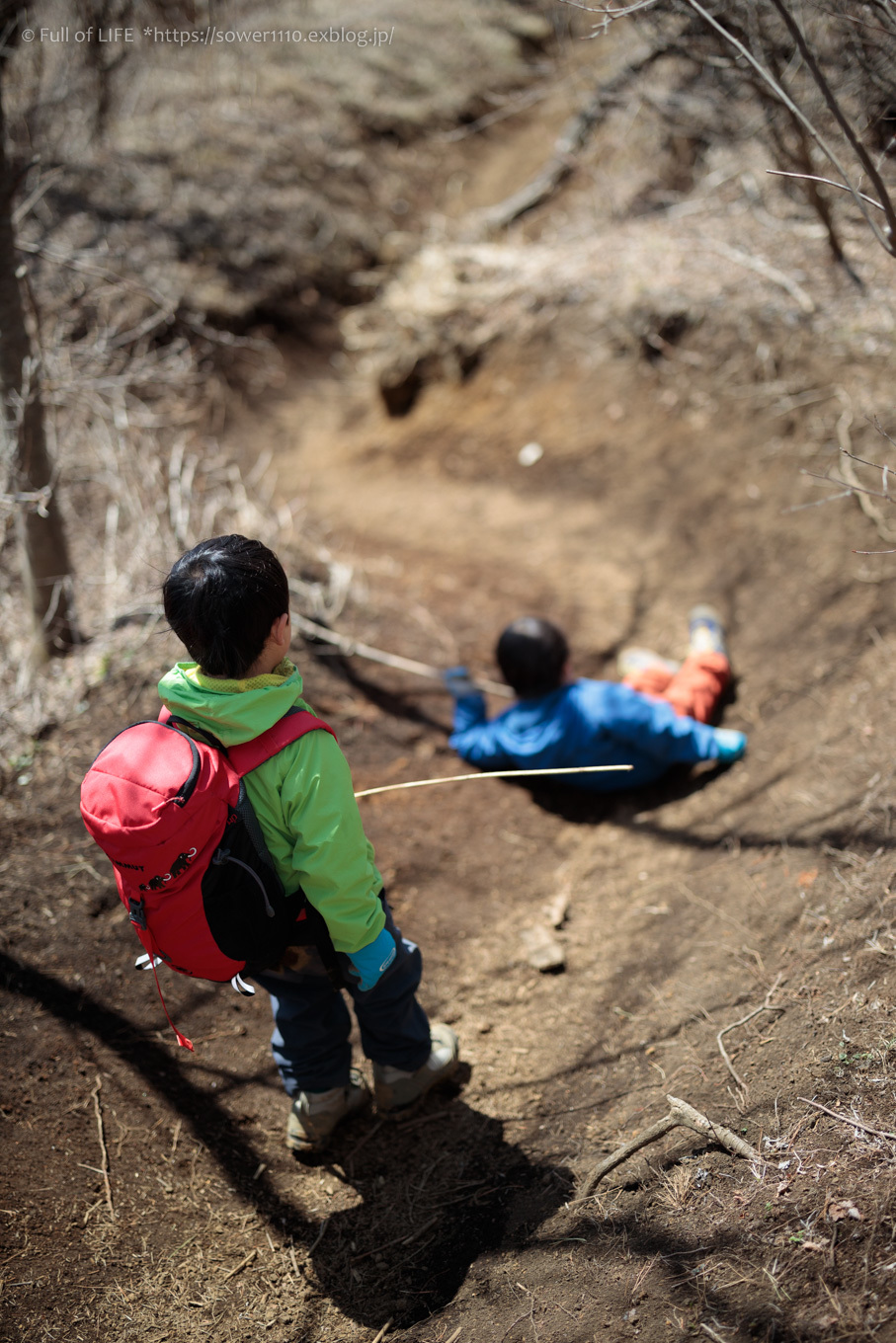 ちびっ子兄弟のチャレンジ春登山「石割山~平尾山」平尾山頂へ_c0369219_19394949.jpg