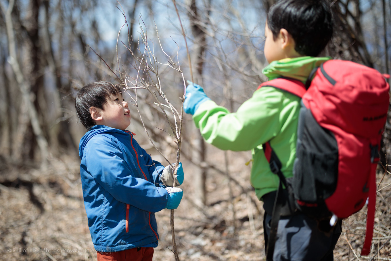 ちびっ子兄弟のチャレンジ春登山「石割山~平尾山」平尾山頂へ_c0369219_19412462.jpg