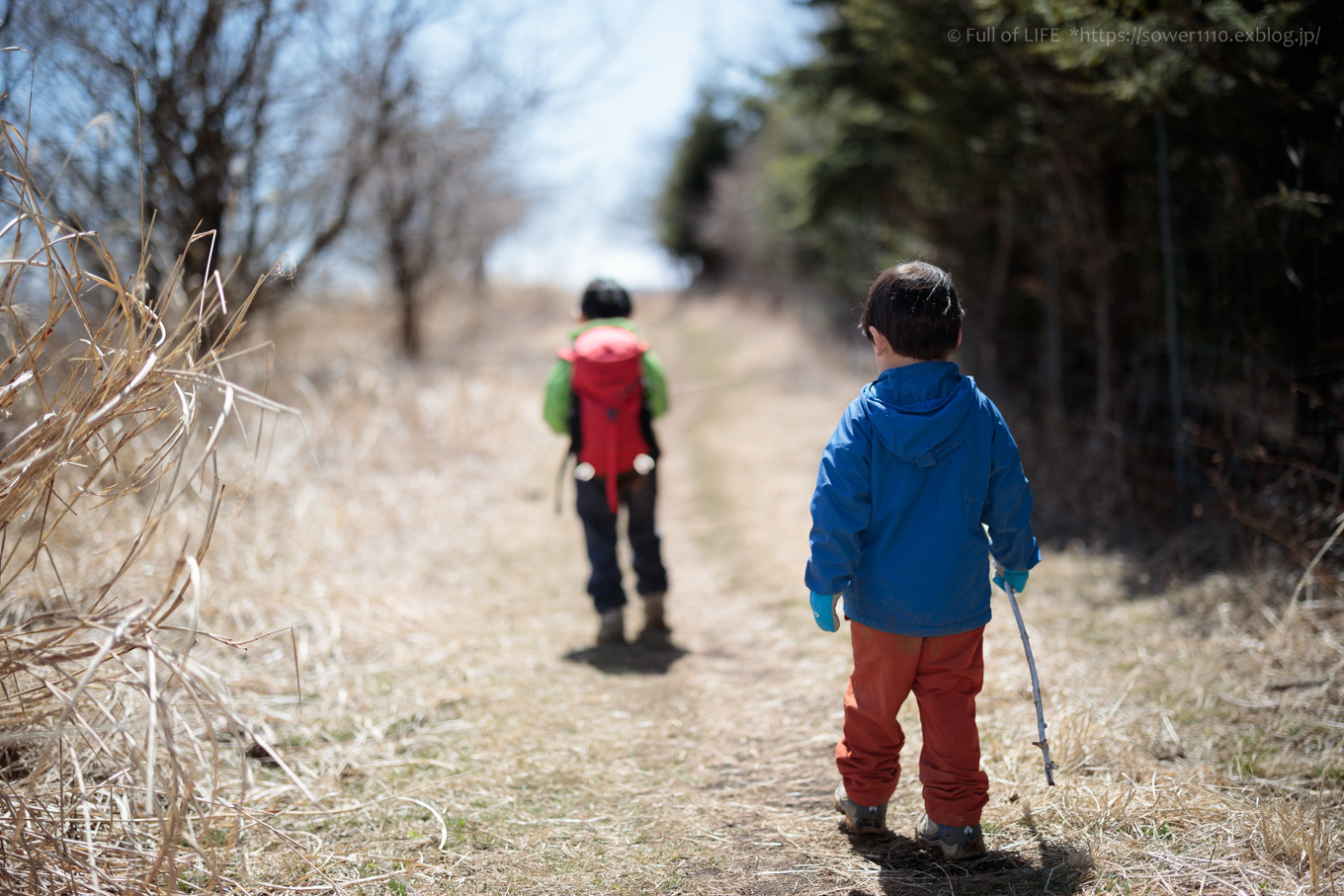 ちびっ子兄弟のチャレンジ春登山「石割山~平尾山」平尾山頂へ_c0369219_19470349.jpg