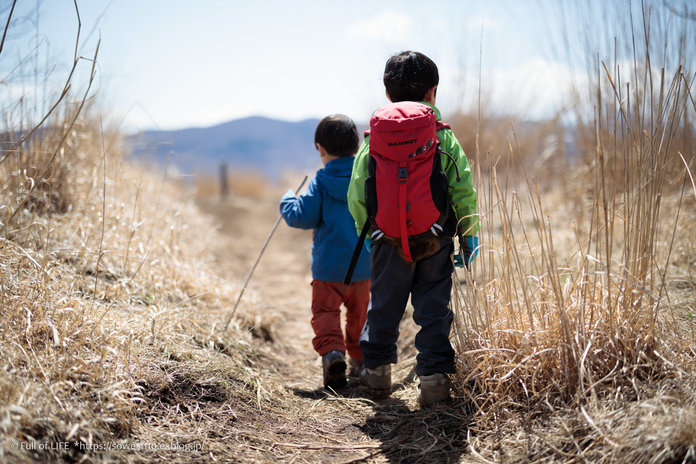 ちびっ子兄弟のチャレンジ春登山「石割山~平尾山」平尾山頂へ_c0369219_19501133.jpg