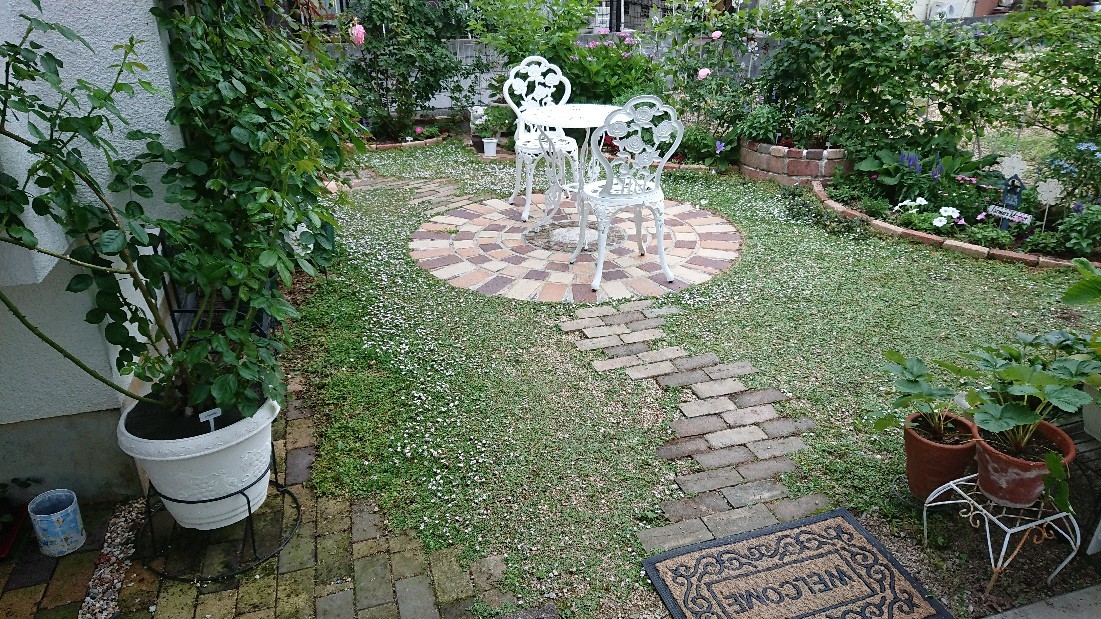 e0263224_18000761.jpg