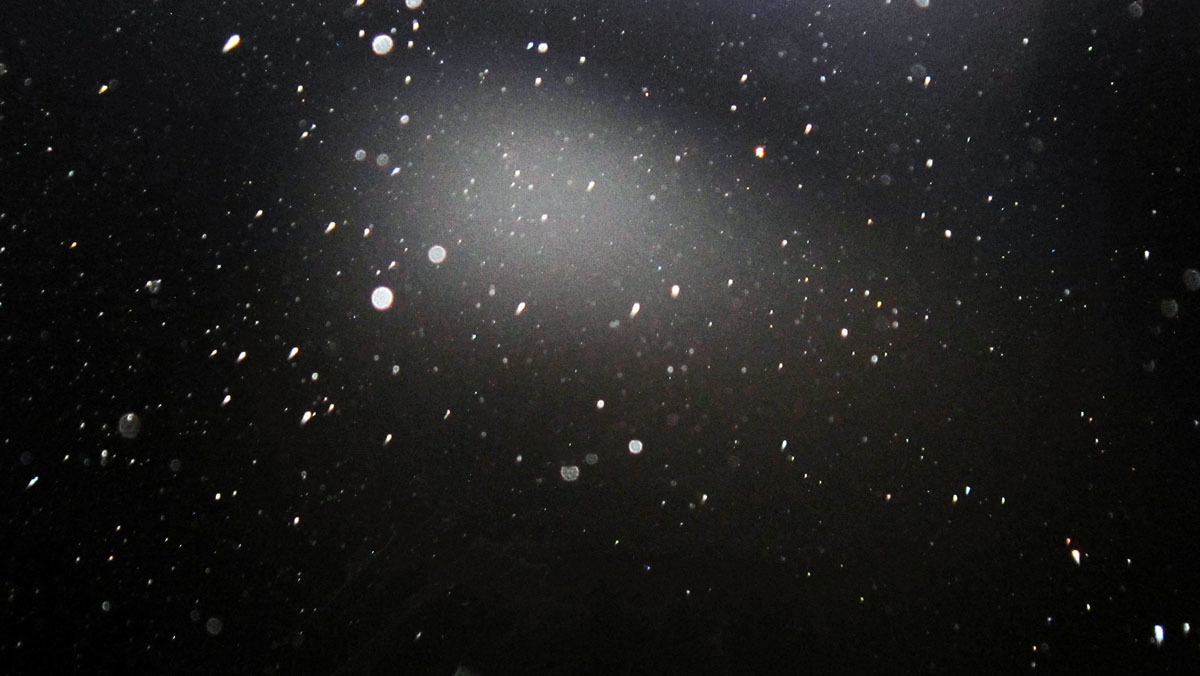 c0331825_13564200.jpg