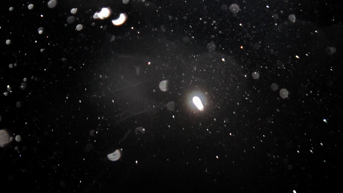 c0331825_14003242.jpg