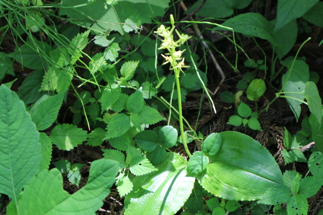 e0272335_52634100.jpg