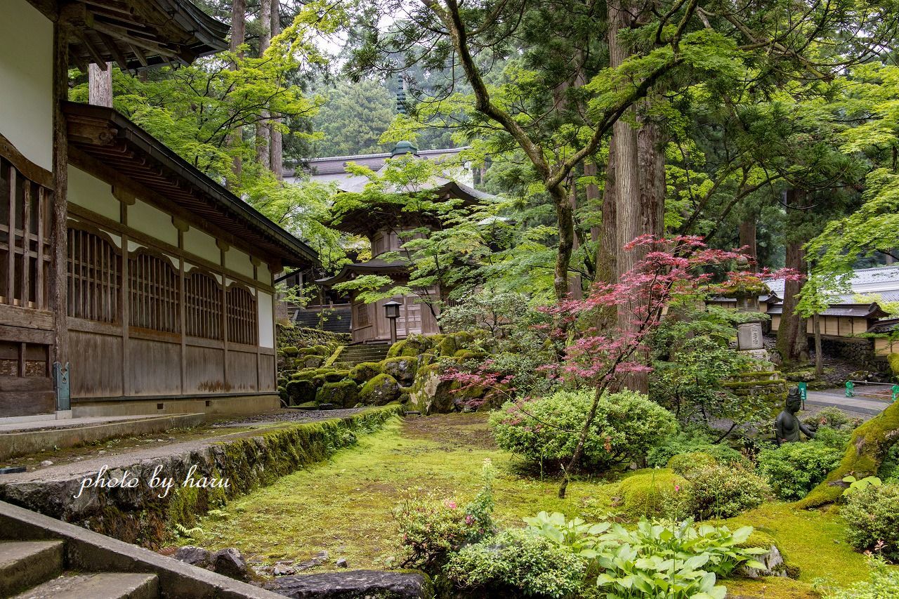 永平寺_f0297537_12421300.jpg