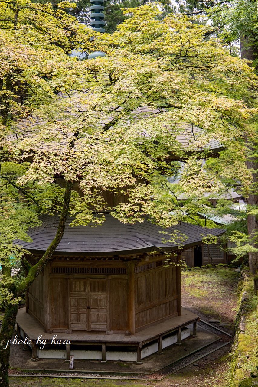 永平寺_f0297537_12434028.jpg