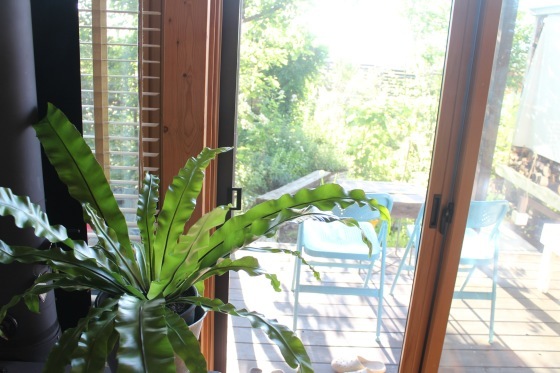 b0132338_07254147.jpeg