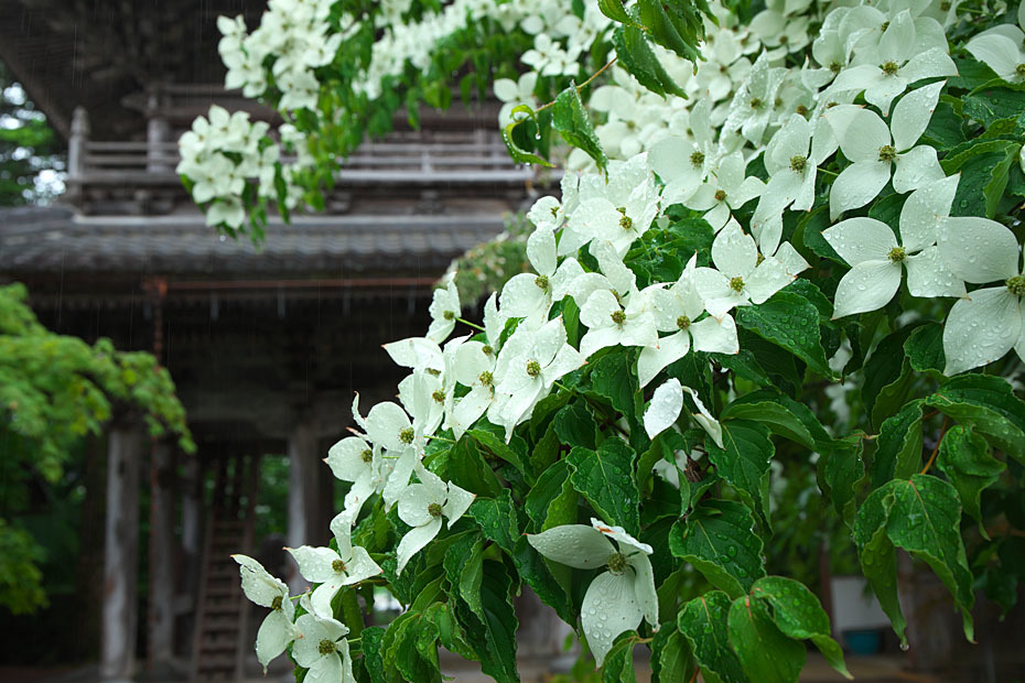 c0067040_22050289.jpg