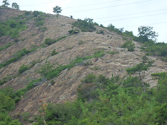 f0334143_7305942.jpg
