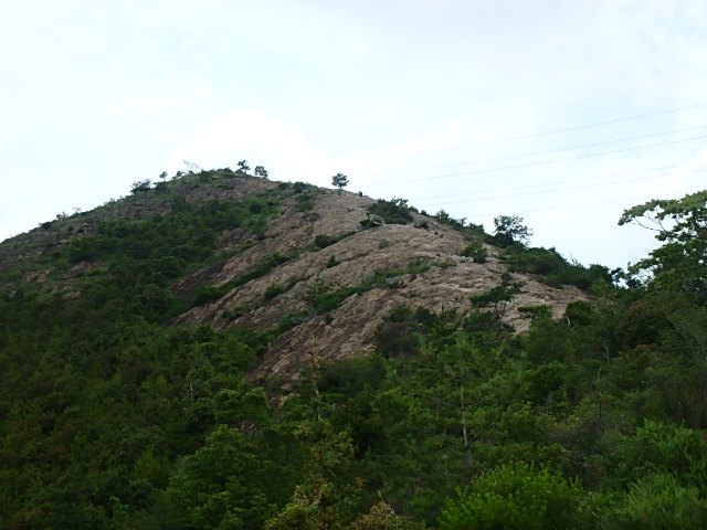 f0334143_7312027.jpg