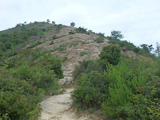 f0334143_7313312.jpg