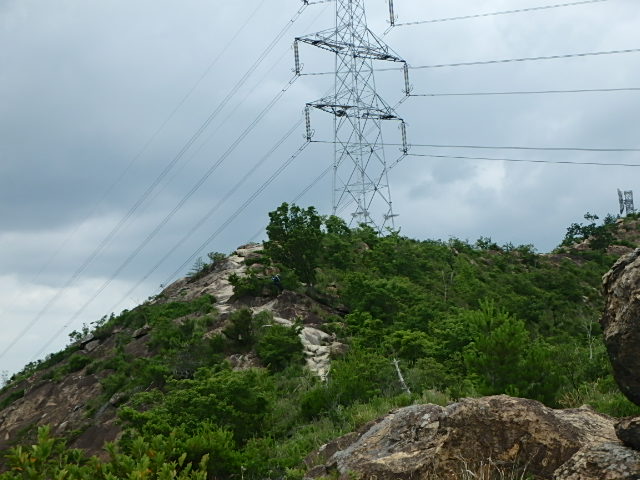 f0334143_7325450.jpg