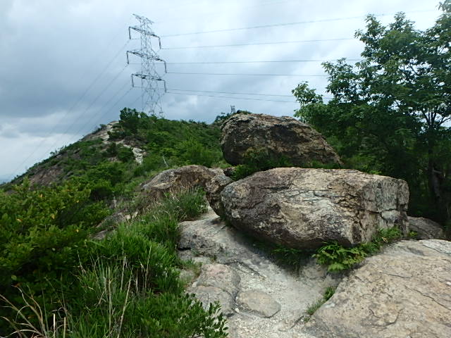 f0334143_7362956.jpg