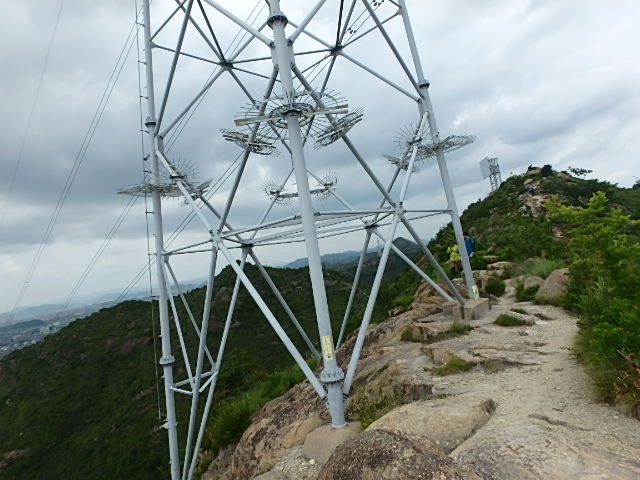 f0334143_7371721.jpg