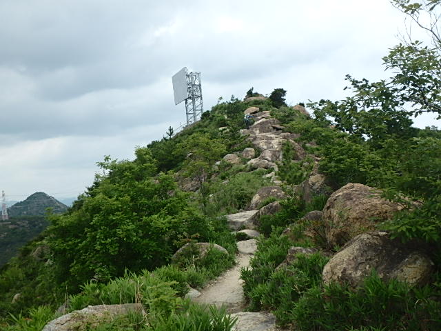 f0334143_7373231.jpg