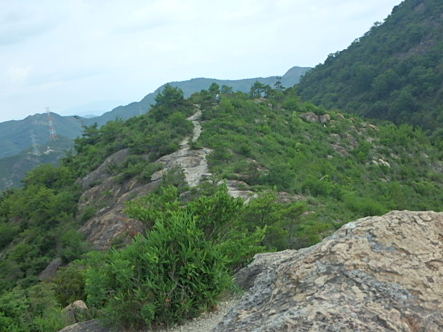 f0334143_738285.jpg