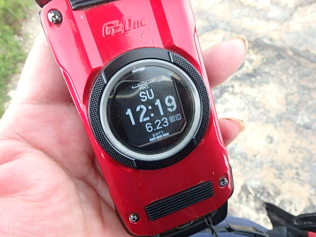 f0334143_7401279.jpg