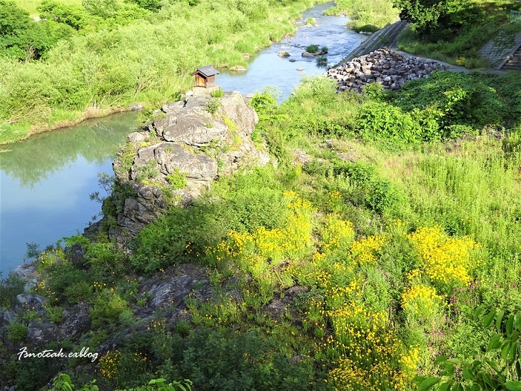 d0356844_10013608.jpg