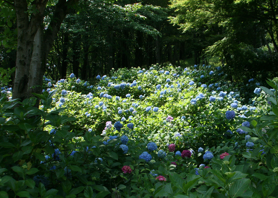 d0322448_10471306.jpg