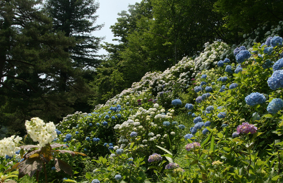 d0322448_10481001.jpg