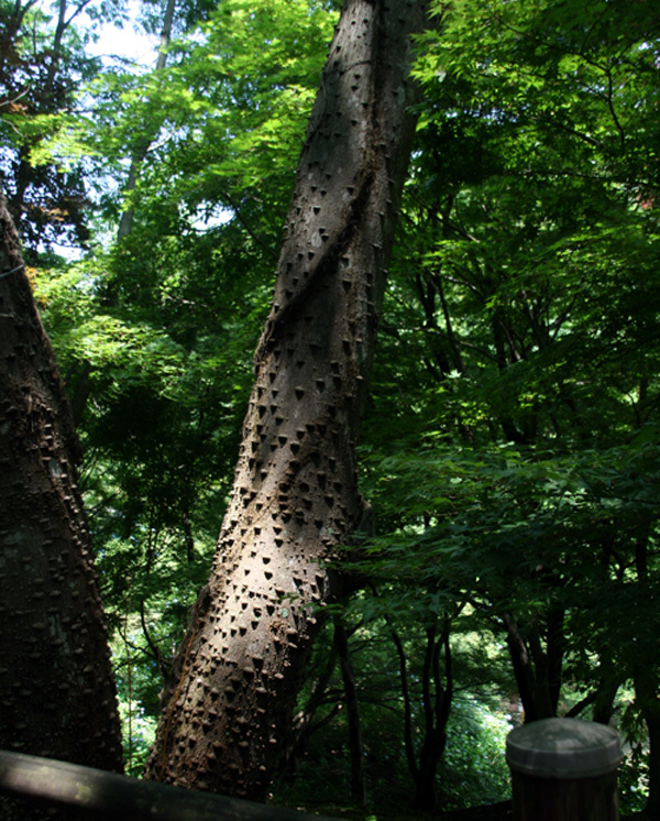 d0322448_11435544.jpg