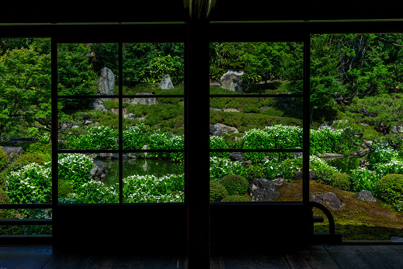 半夏生の頃（建仁寺塔頭・両足院）_f0155048_23135164.jpg