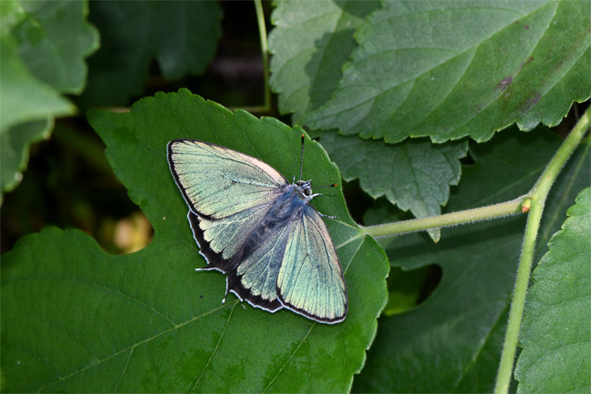 e0194952_14110141.jpg