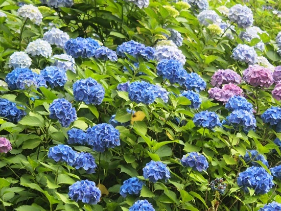 b0319255_21221296.jpg