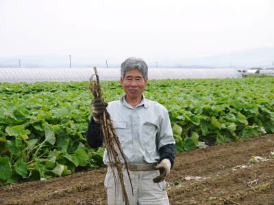 最旬食材!無農薬・無化学肥料栽培で育てた熊本県菊池市産の「有機栽培の水田ごぼう」早い者勝ちです!_a0254656_16231241.jpg