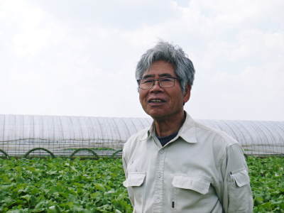 最旬食材!無農薬・無化学肥料栽培で育てた熊本県菊池市産の「有機栽培の水田ごぼう」早い者勝ちです!_a0254656_16410738.jpg